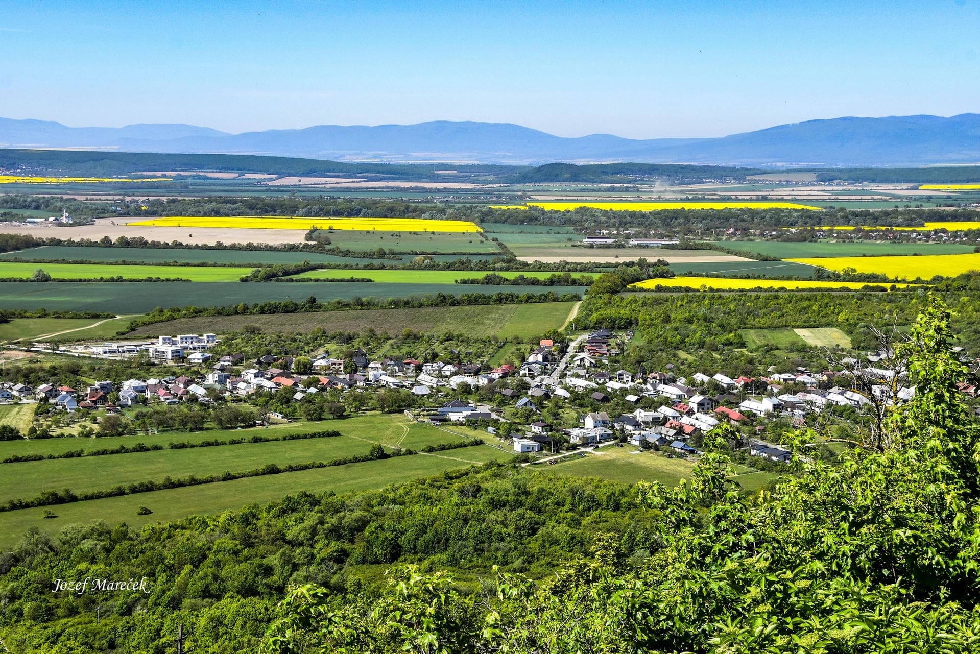Vinianske jazero