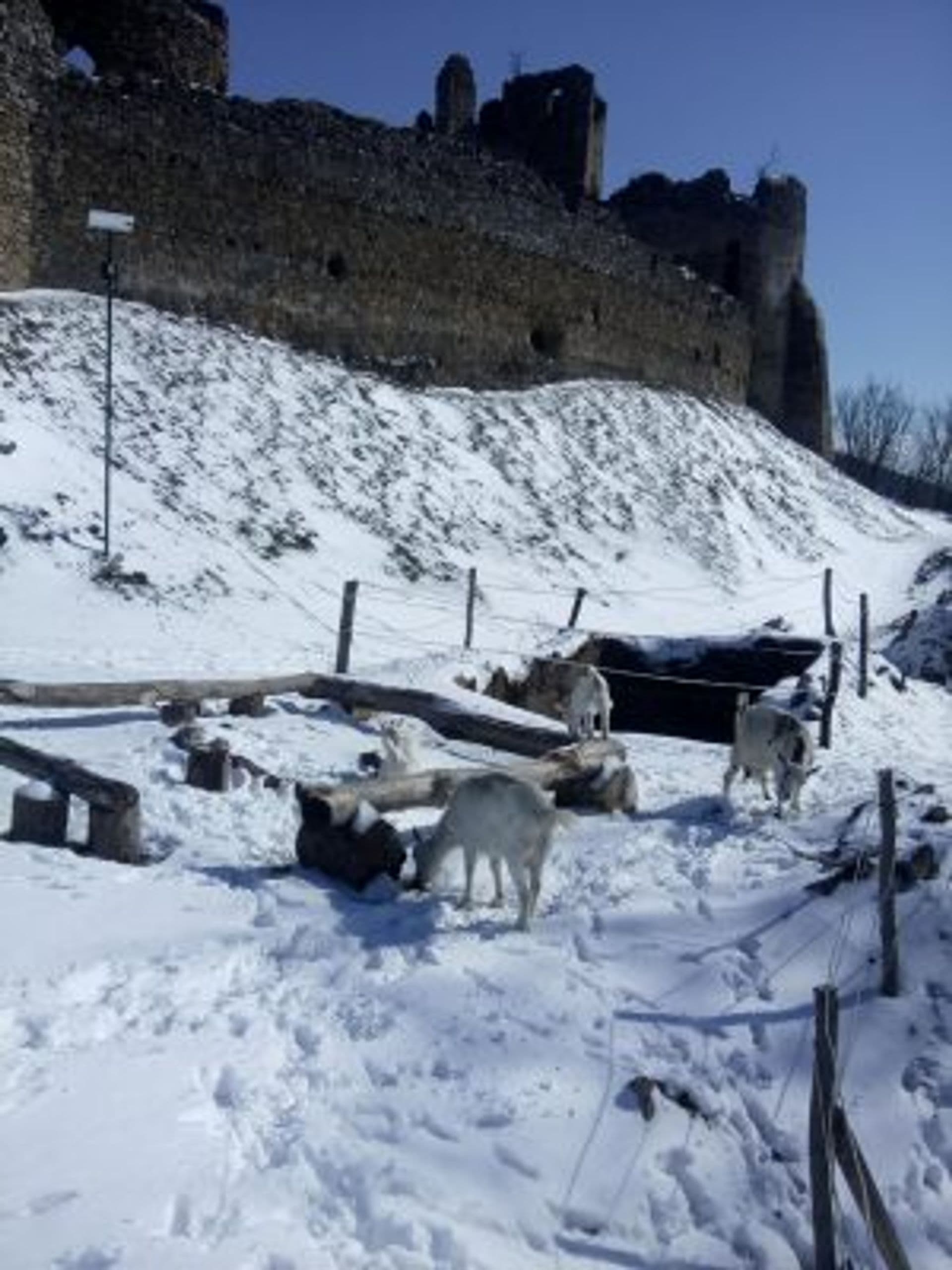 Hrad Jaseno 04