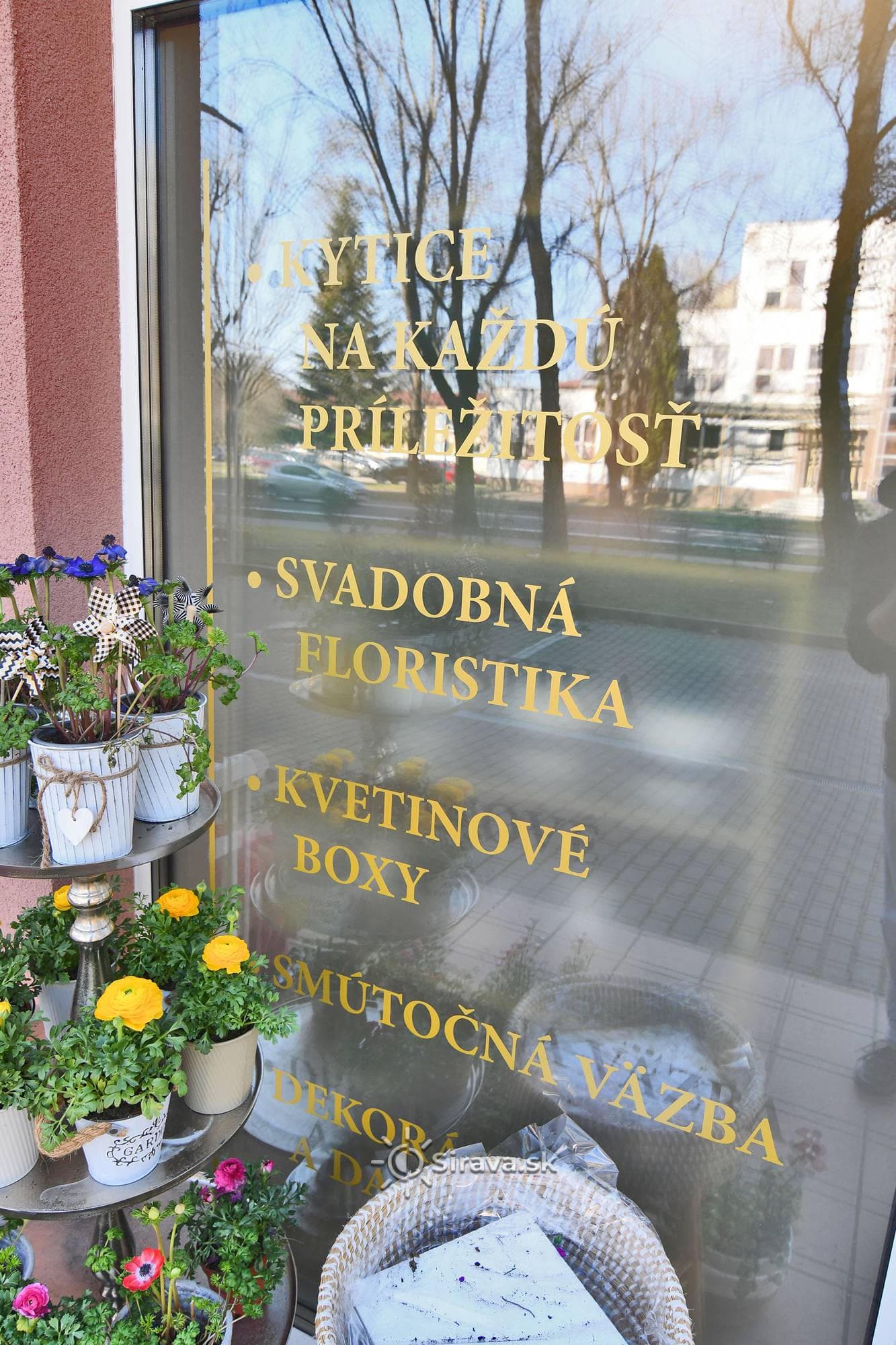 kvetinarstvo_chloe_19.jpg